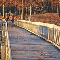 Lincoln-State-Park-Fall_lor