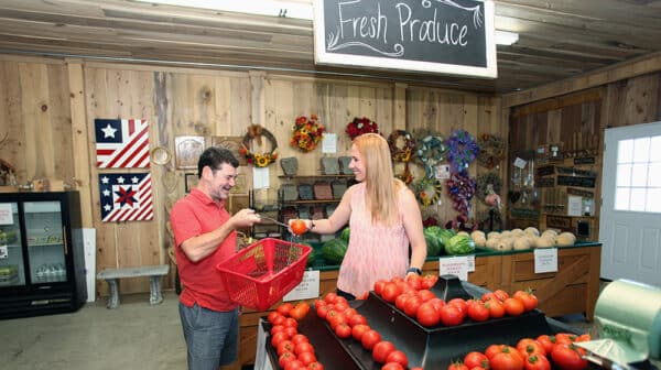 A man holds a shopping basket and a woman prepares to place a tomato inside of it as they shop at Pumpkins and More Farm Market