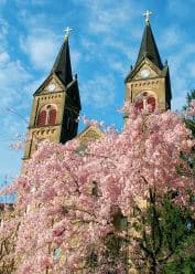 Saint-Meinrad-Archabbey-Spring.jpg