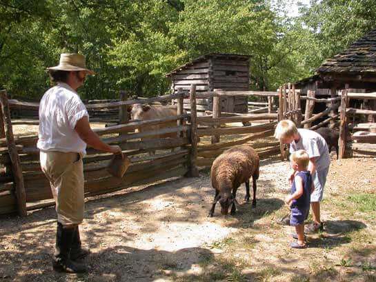 Living historical farm reenactor